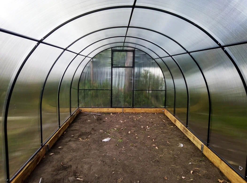 Теплица Стандарт — на участке